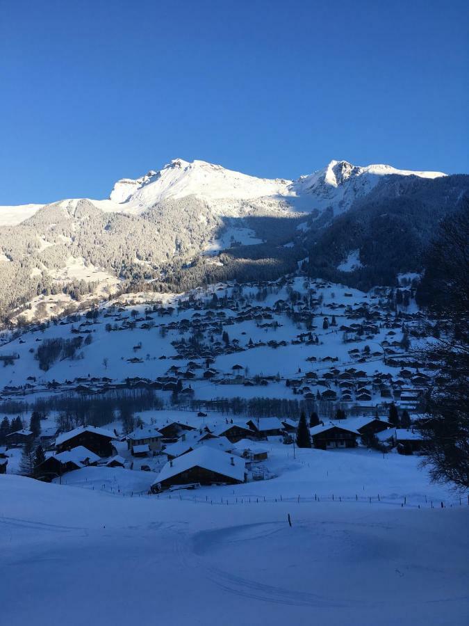 Chalet Studen Grindelwald Exterior photo