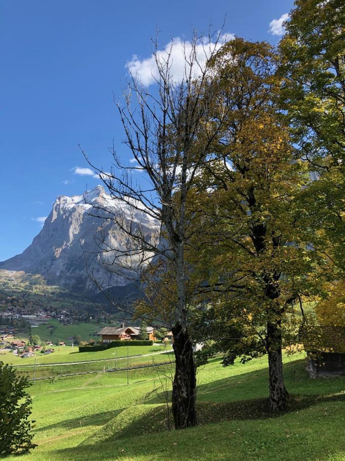 Chalet Studen Grindelwald Exterior photo